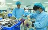 Cận cảnh nơi điều chế máu lớn nhất Việt Nam